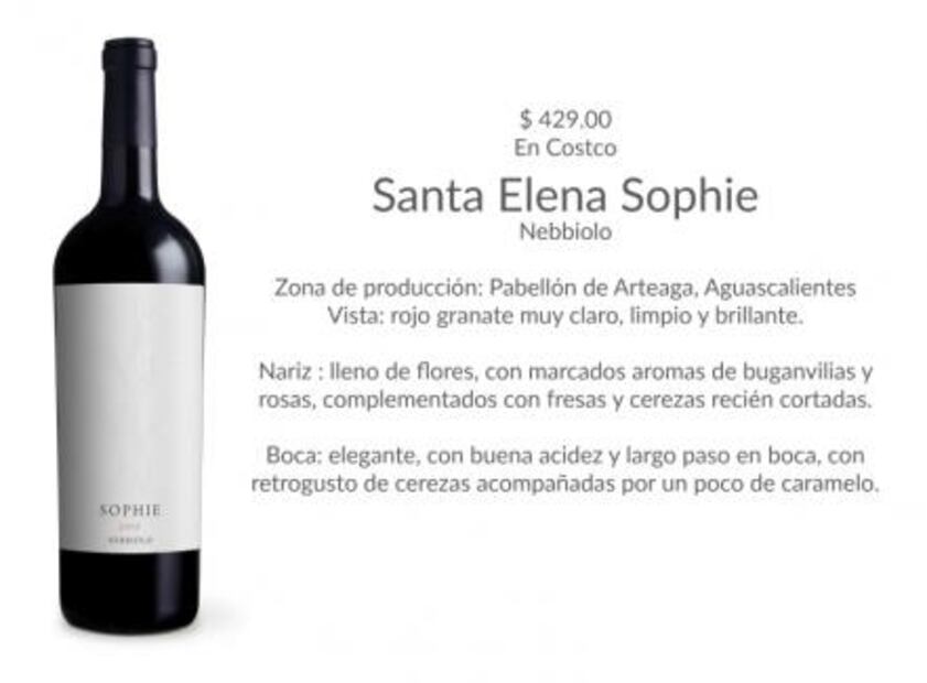 Aguascalientes cuna de vinos hidrocálidos