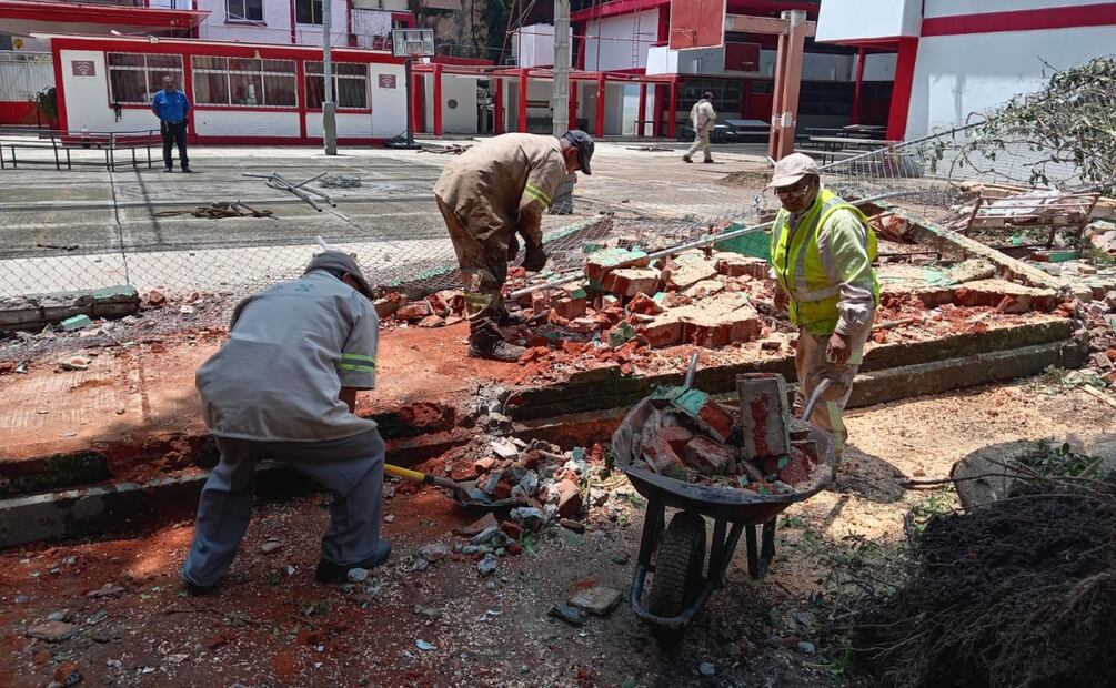 Árbol cae sobre primaria en Gustavo A. Madero; muro colapsa y suspenden clases. Foto: Especial