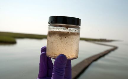 Microbios sobreviven en el subsuelo del mar más de 100 millones de años