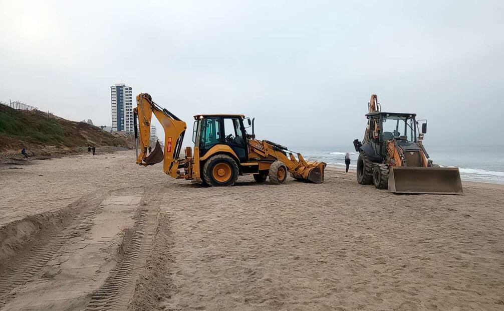 Atienden varamiento de una ballena gris juvenil sin vida en Playas de Tijuana, Baja California este 19 de agosto de 2025. Foto: Profepa