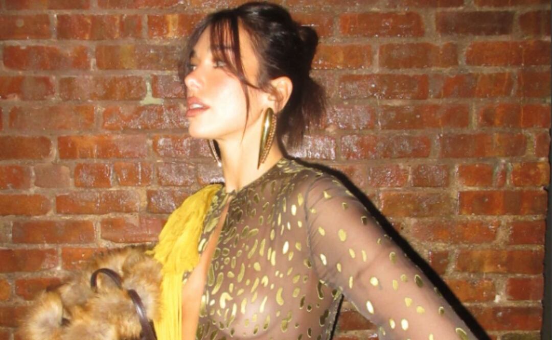 Este es el nuevo look de Dua Lipa. Foto: Instagram @dualipa