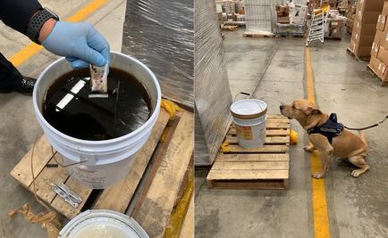 Policía Federal decomisa cubeta de miel con éxtasis en Yucatán