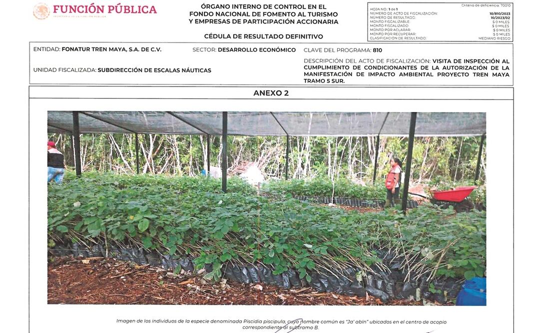 Foto: Especial