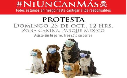 Convocan a protestar contra muertes de perros