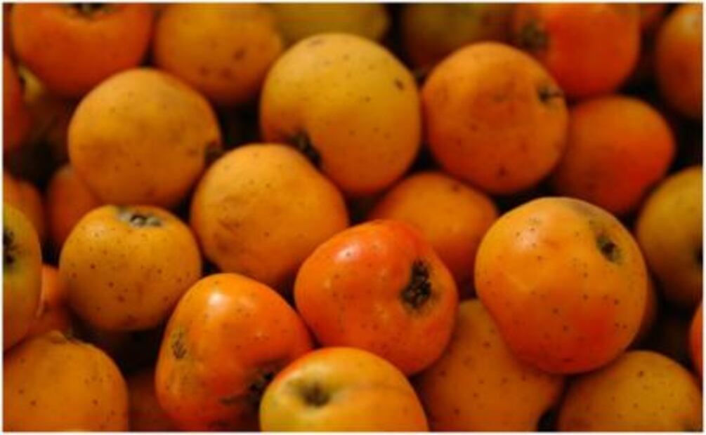 Rompe la piñata y no la dieta, ¡lánzate por la fruta!