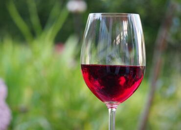 Vinos producidos en Querétaro ya están protegidos gracias a su indicación geográfica; crece demanda de este sector en el país