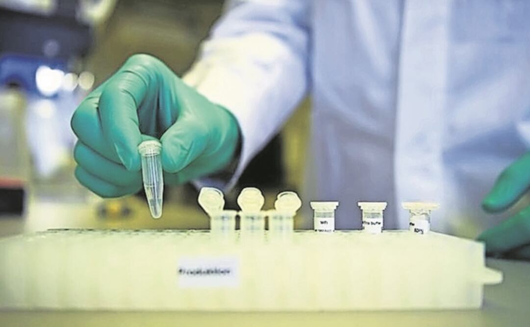 The test would determine whether a patient is infected with COVID-19 - Photo: File photo/EL UNIVERSAL