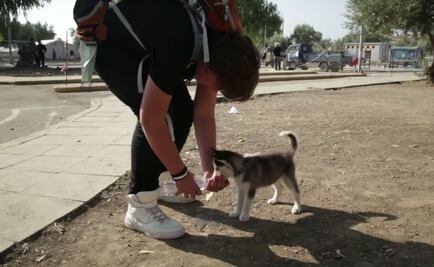 Joven refugiado sirio camina 500 km con su perro en brazos