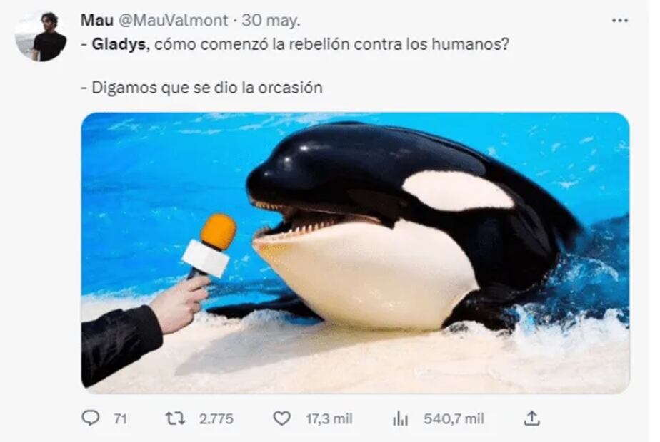 Foto: Twitter