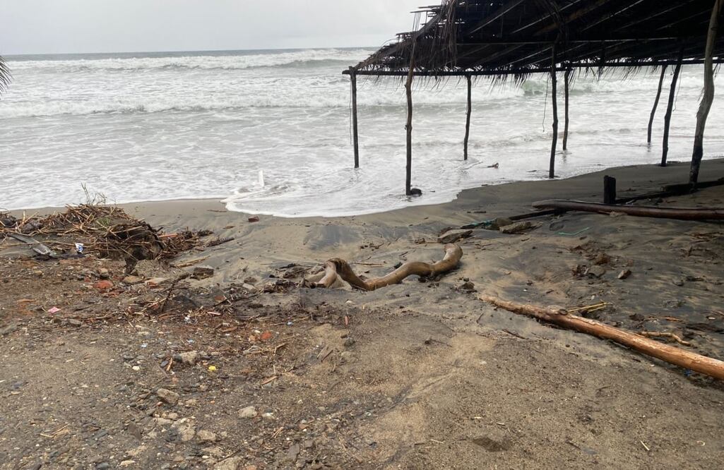 Foto: Carlos Arrieta/ EL UNIVERSAL