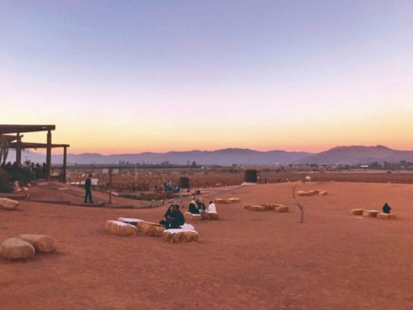 Buscan resaltar la cocina mexicana con viajes gastronómicos