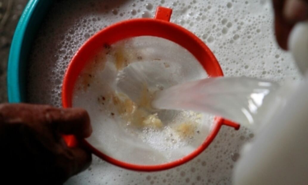 Échate un pulque curado en la Feria de las Pulquerías de la CDMX