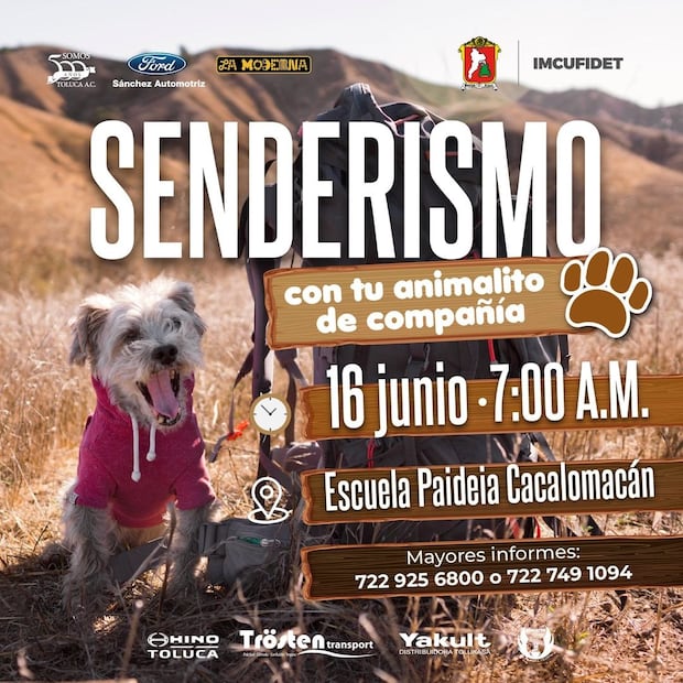 Cartel del Ayuntamiento de Toluca donde invitan a hacer senderismo con los "lomitos" de compañía. Foto: Especial