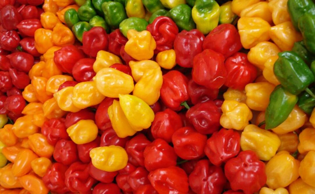 Comida picante se asoció a un menor riesgo de morir a causa de enfermedades infecciosas. Foto: Archivo