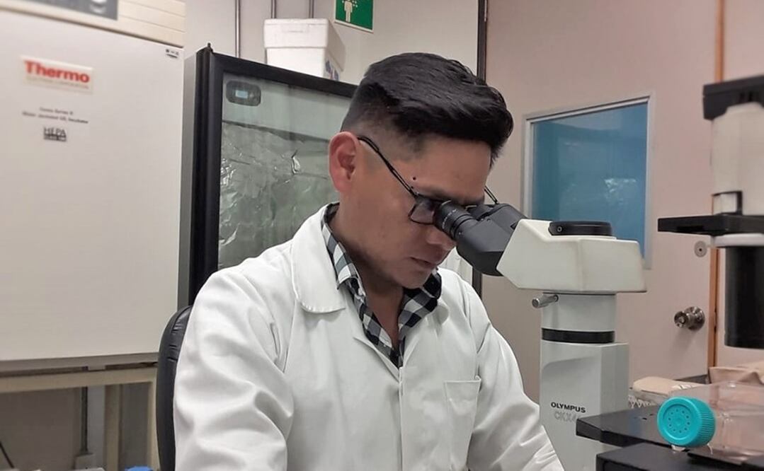 Científicos del IPN buscan elaborar un fármaco contra subtipos de influenza