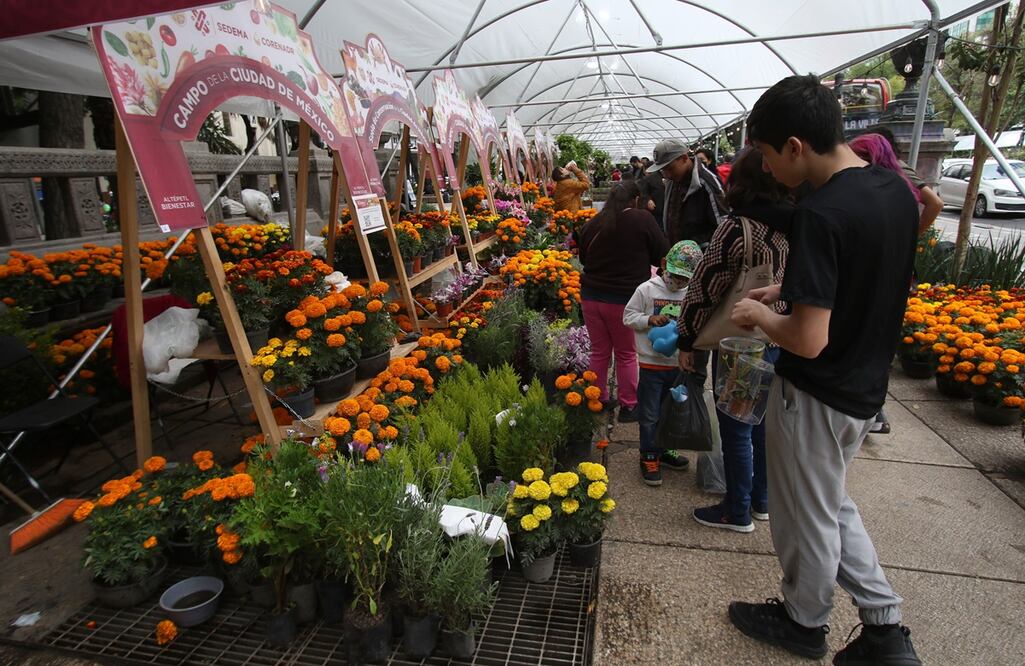 El festival de las flores es un espacio verde en donde se pueden encontrar diferentes especies. FOTOS: Carlos Mejía/EL UNIVERSAL/