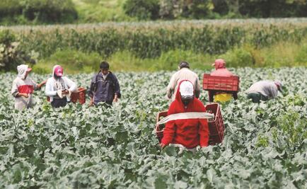 Rescatan a 25 jornaleros en Coahuila tras denuncia de explotación