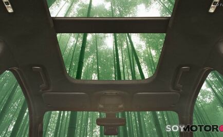 Ford evalúa usar bambú en algunas piezas de sus autos