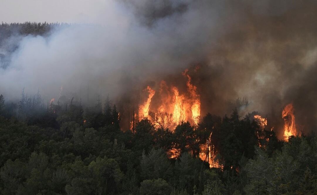 Los incendios forestales que se propagan rápidamente cerca de Jerusalén. Foto: Especial