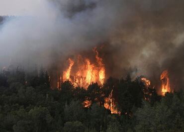 Israel, en emergencia nacional por incendios que acechan Jerusalén; fuego podría llegar a la ciudad, advierte Netanyahu