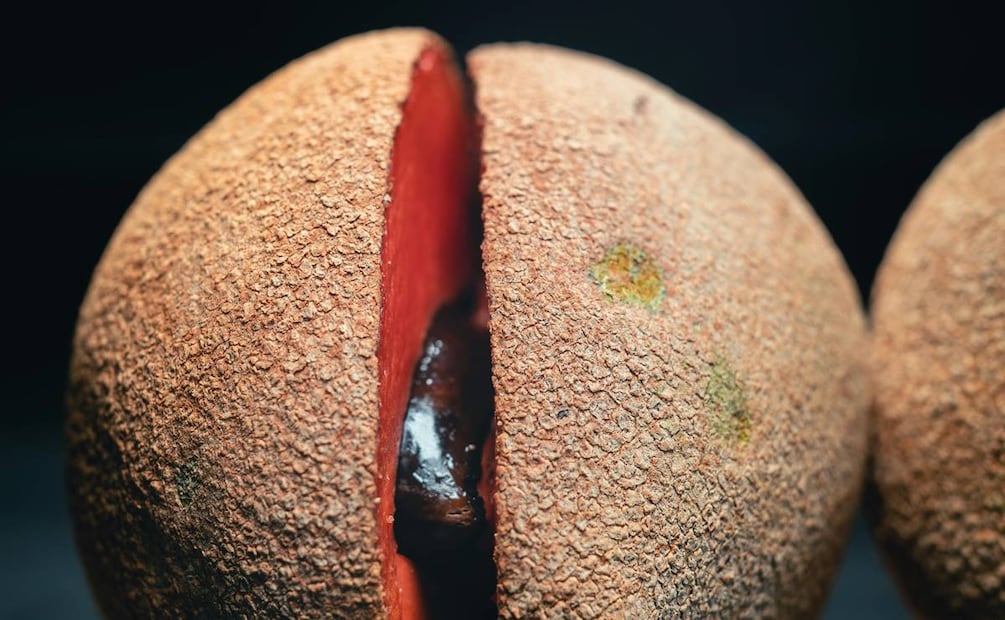Qué pasa si comes mamey todos los días. Foto: Pexels