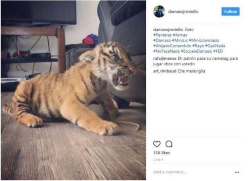 ¿Quién es el narcojúnior Dámaso López Serrano, alias “Mini Lic”?