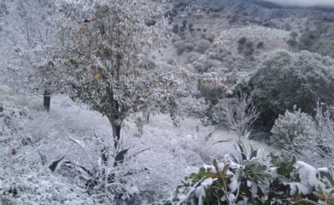 Nevada en Hidalgo