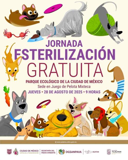 Información oficial sobre la Jornada de Esterilización Gratuita emitida por la Secretaria de Medio Ambiente (24/08/2025). Foto: Especial
