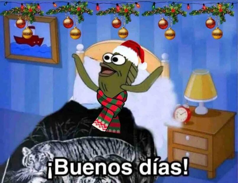 Los mejores memes para recibir a diciembre 2024. Foto: Redes sociales