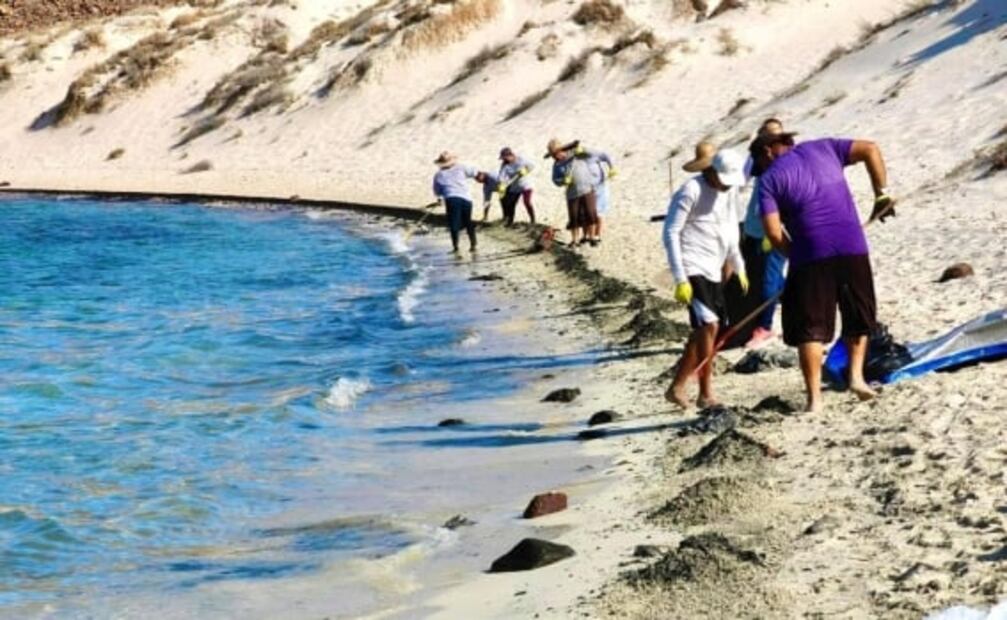 Daño ecológico: cierran por derrame playa Balandra, área natural protegida e imán de turistas en La Paz, BCS