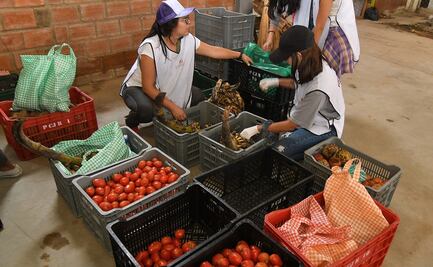 Lamenta sector agropecuario propuesta de limitar importaciones de alimentos