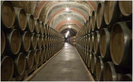 Protos: la ruta hacia los grandes vinos