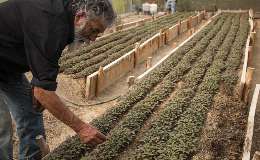 Foto: Juana García / EL UNIVERSAL