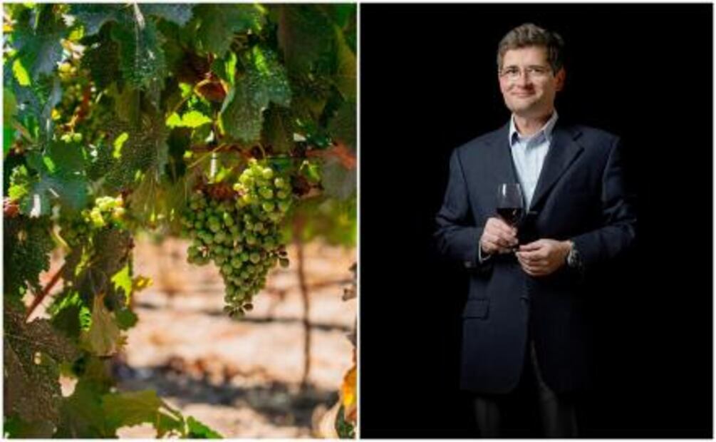 Enóloga mexicana triunfa en Francia 