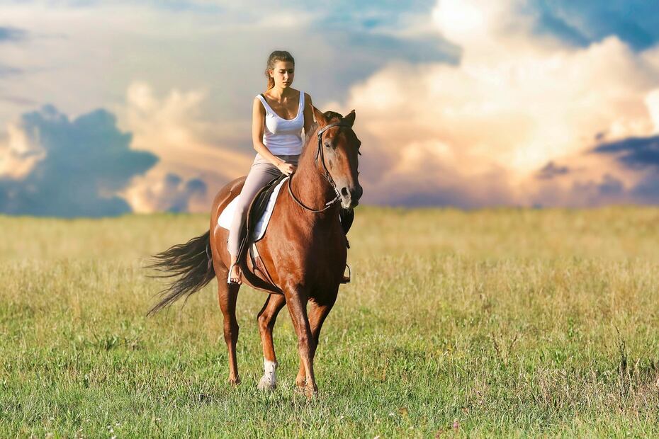 Un caballo como mascota. Fuente: Pixabay