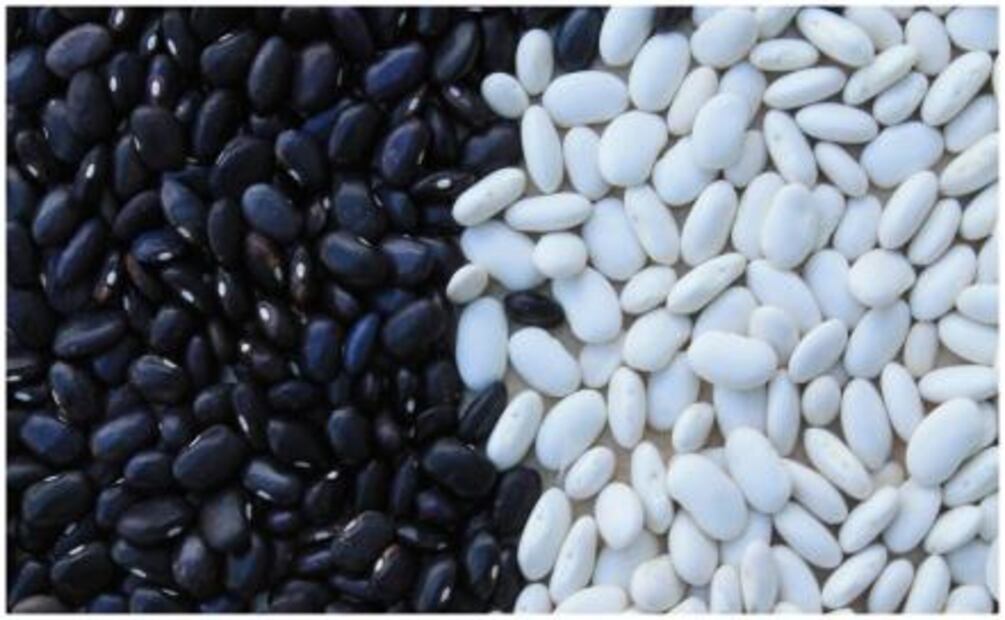 Descubre los tres alimentos básicos en la dieta mexicana
