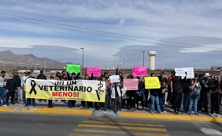 “Respeto y no violencia”: veterinarios marchan en los estados; exigen justicia por asesinato del médico Héctor Hernández 