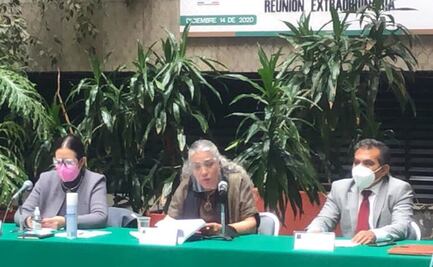 Avanza en Cámara de Diputados nombramiento de Elvira Concheiro en Tesofe