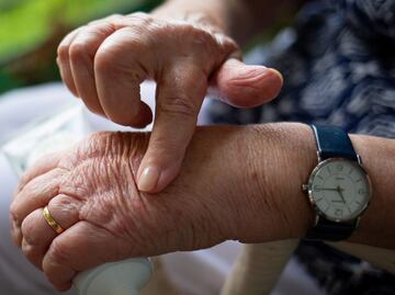 El árbol que alivia las enfermedades inflamatorias crónicas como la artritis