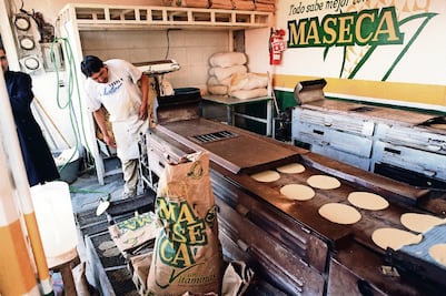 “Siempre se ha actuado conforme a la ley”, responde Gruma a Cofece; analiza dictamen sobre mercado de harina de maíz