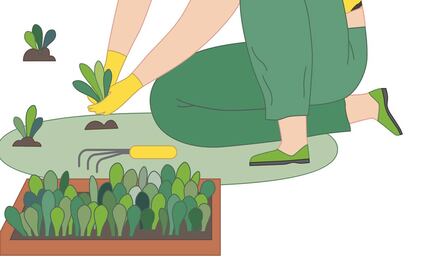 Empieza de manera sencilla tu huerto en casa