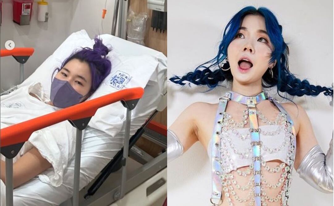 Chingu Amiga es hospitalizada nuevamente. Foto: Redes sociales