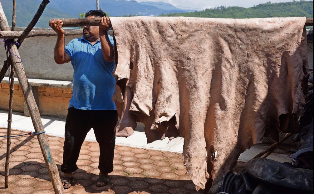 Después de meterla en cal y en el salvado, la piel se pone a secar al sol, y
en el “palo de macho” la labran para que tenga el grosor adecuado. Foto: Edwin Hernández / EL UNIVERSAL