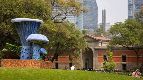 Regresa el Festival del Bosque de Chapultepec; "Spora" celebrará los hongos y la naturaleza