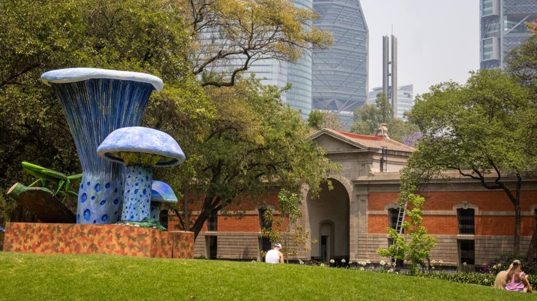Foto: Bosque de Chapultepec