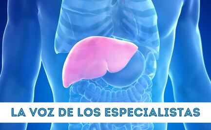 Del hígado graso a MASLD; la epidemia silenciosa que podemos prevenir  