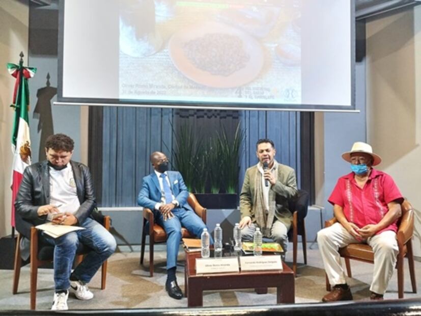 Tal vez el chocolate que comes es causante de la deforestación en África