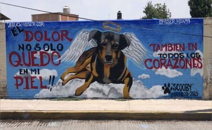 “Jueza amaneció muy benevolente”, dice activista tras sentencia que deja libre a asesino de perrito Scooby en Tecámac