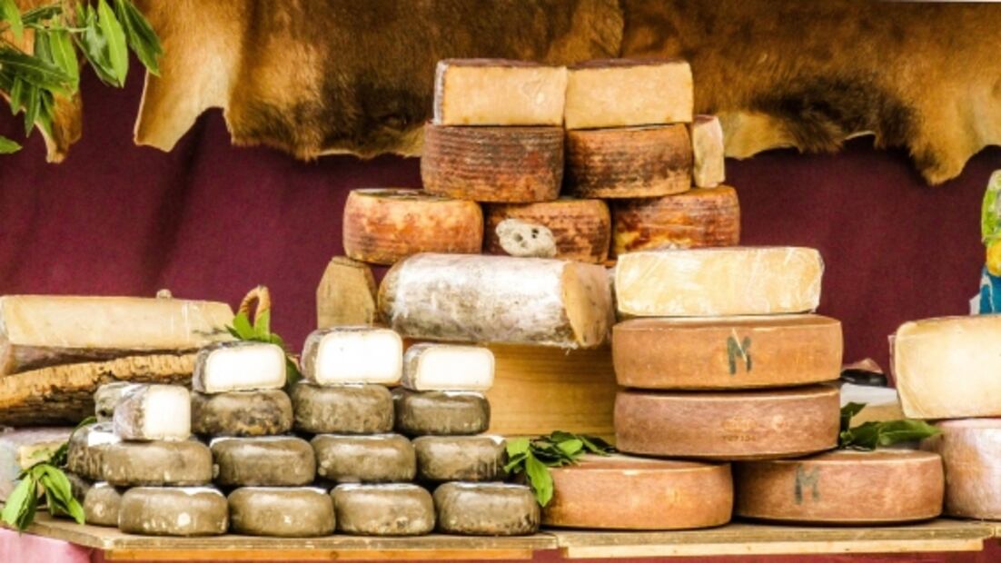 El queso mexicano dentro del top 5 de los mejores del mundo