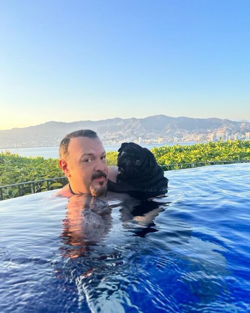 Pepe Aguilar mostró a su perro en una piscina. Fuente: Instagram @pepeaguilar_oficial